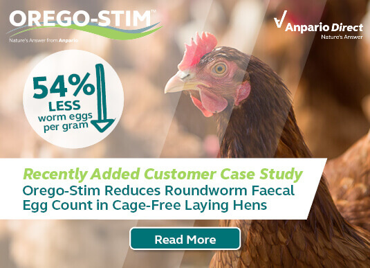 Orego-Stim Reduces Faecal Egg Count in Cage-Free Laying Hens